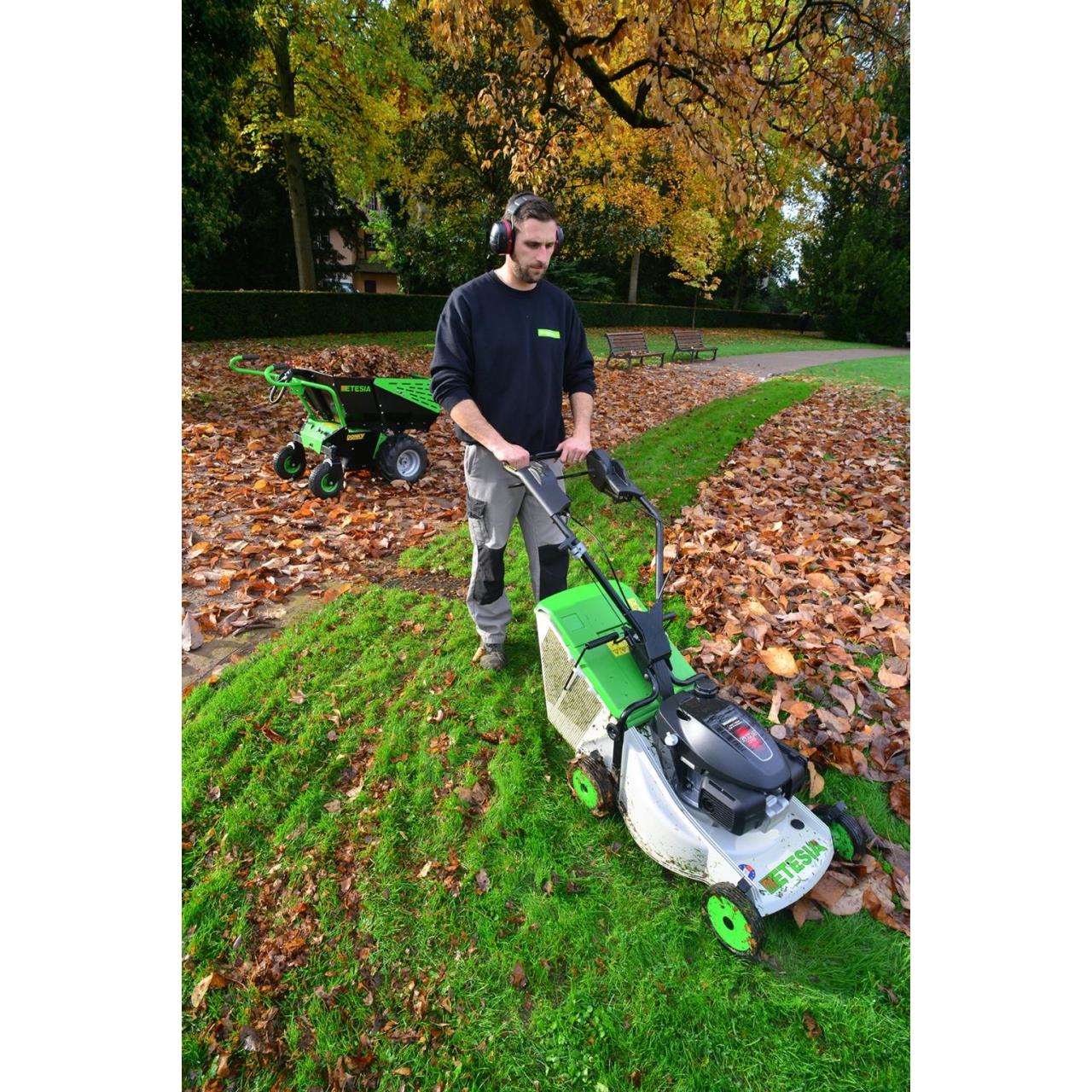 Benzin-Rasenmäher Pro 46 PHTS3